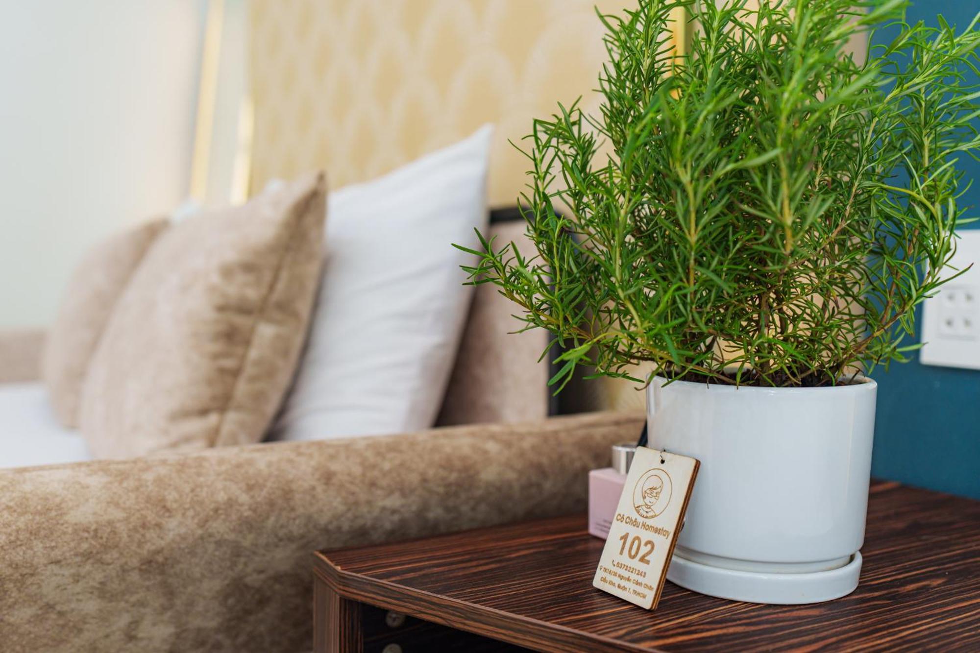 Co Chau Homestay Ho Chi Minh Zewnętrze zdjęcie