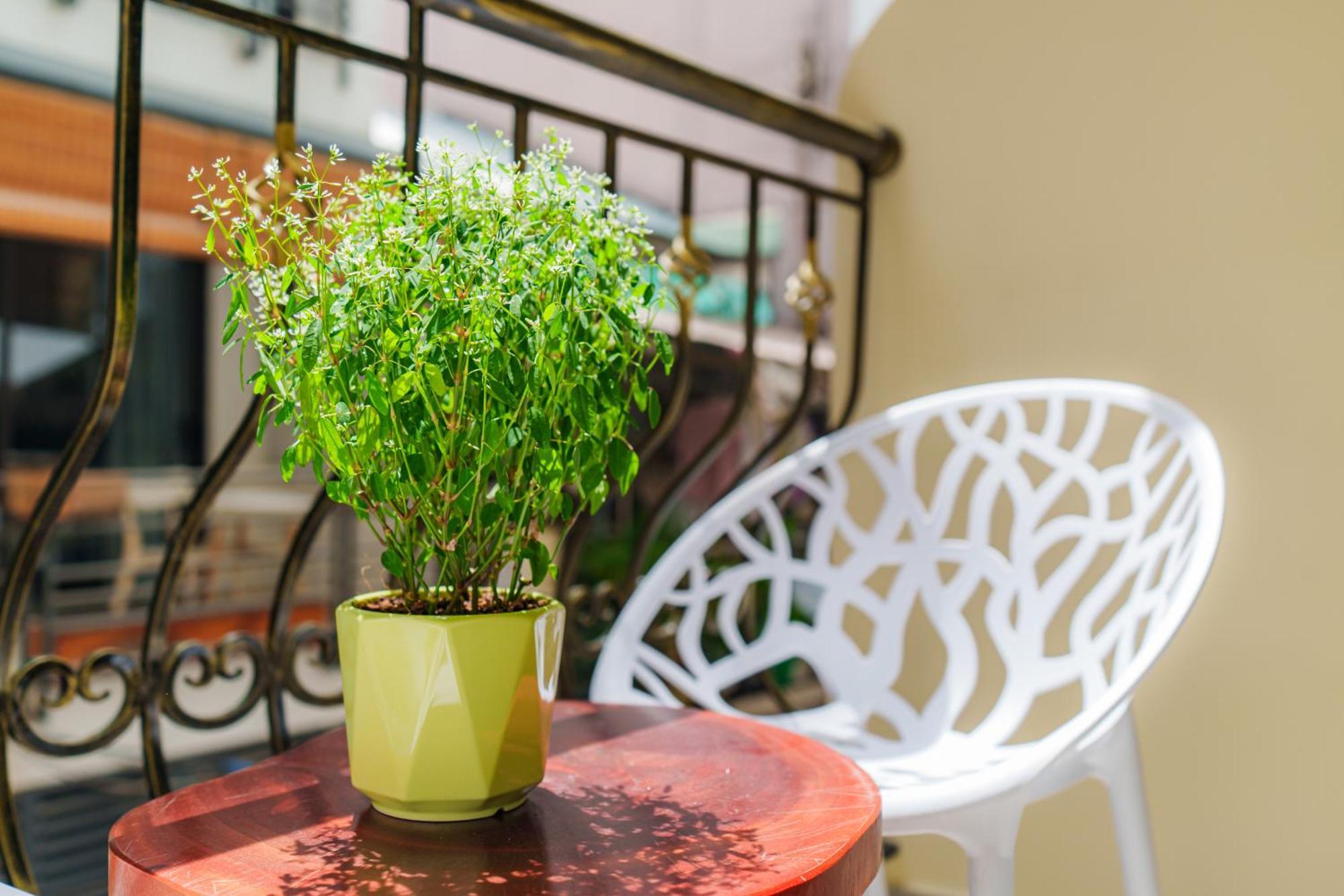 Co Chau Homestay Ho Chi Minh Zewnętrze zdjęcie
